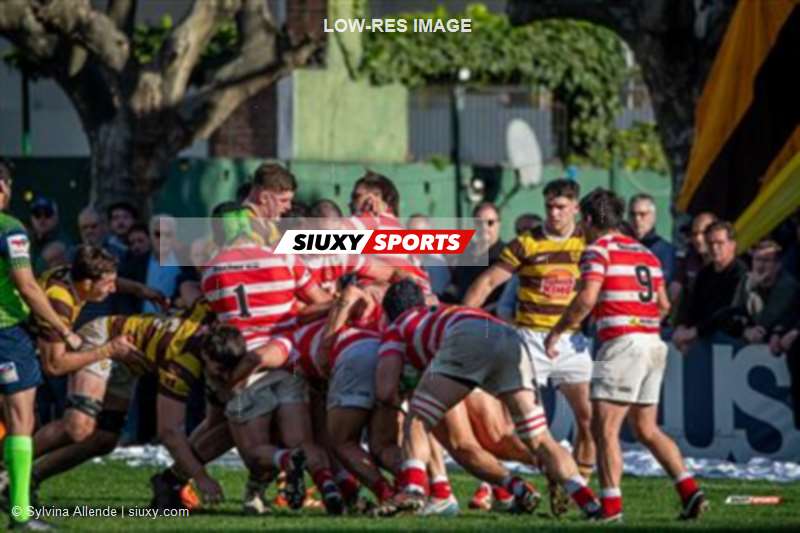 URBA 2025 - Top 12 Sup - Belgrano Athletic (35) vs (17) Asociacion Alumni