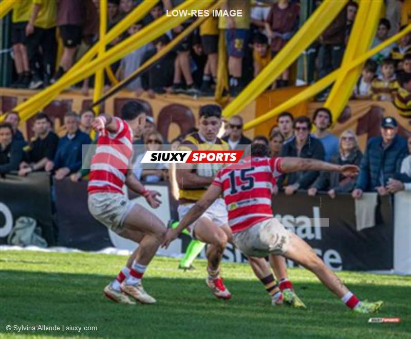 URBA 2025 - Top 12 Sup - Belgrano Athletic (35) vs (17) Asociacion Alumni