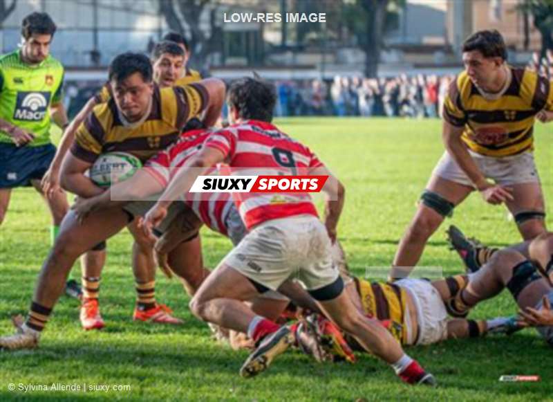 URBA 2025 - Top 12 Sup - Belgrano Athletic (35) vs (17) Asociacion Alumni