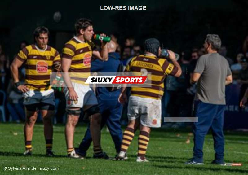 URBA 2025 - Top 12 Sup - Belgrano Athletic (35) vs (17) Asociacion Alumni